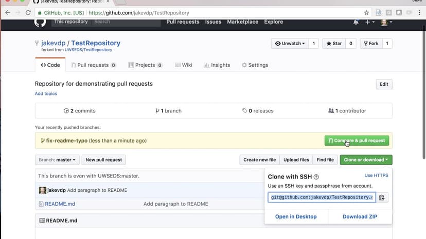🤝 Git Collaboration and Pull Requests